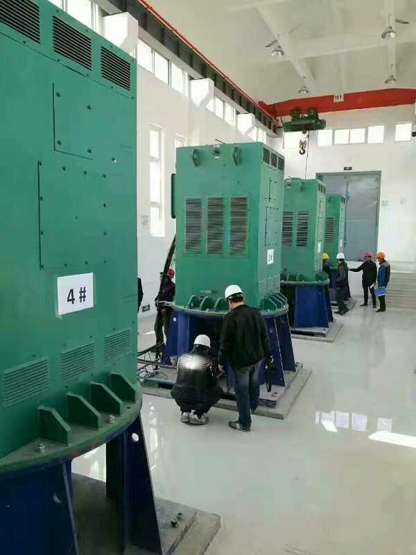 济阳某污水处理厂使用我厂的立式高压电机安装现场